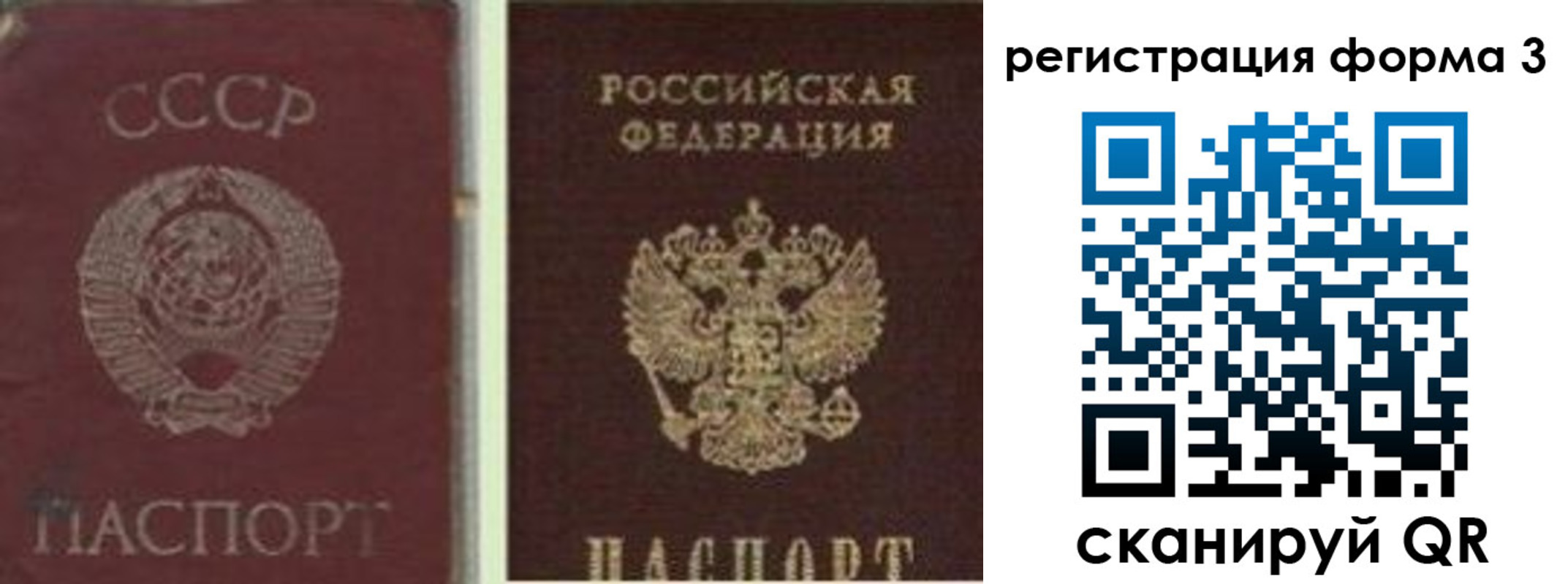 прописка для школы в Минеральных Водах